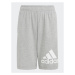 Adidas Športové kraťasy Essentials Big Logo Cotton Shorts HY4720 Sivá Regular Fit