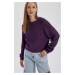 DEFACTO Cool Regular Fit Crew Neck Basic Sweater